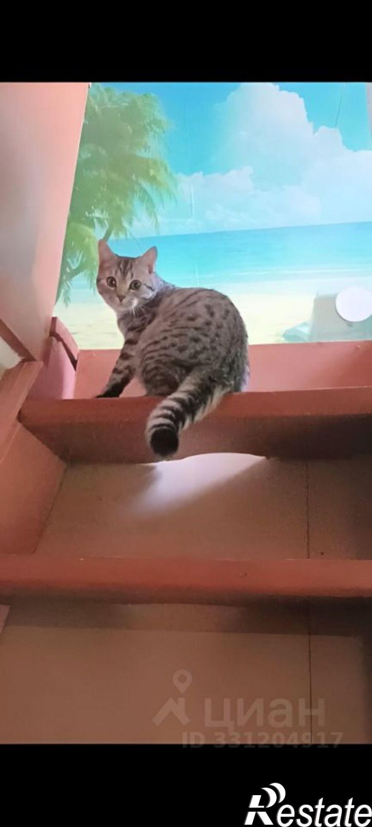 Коттедж/дом
