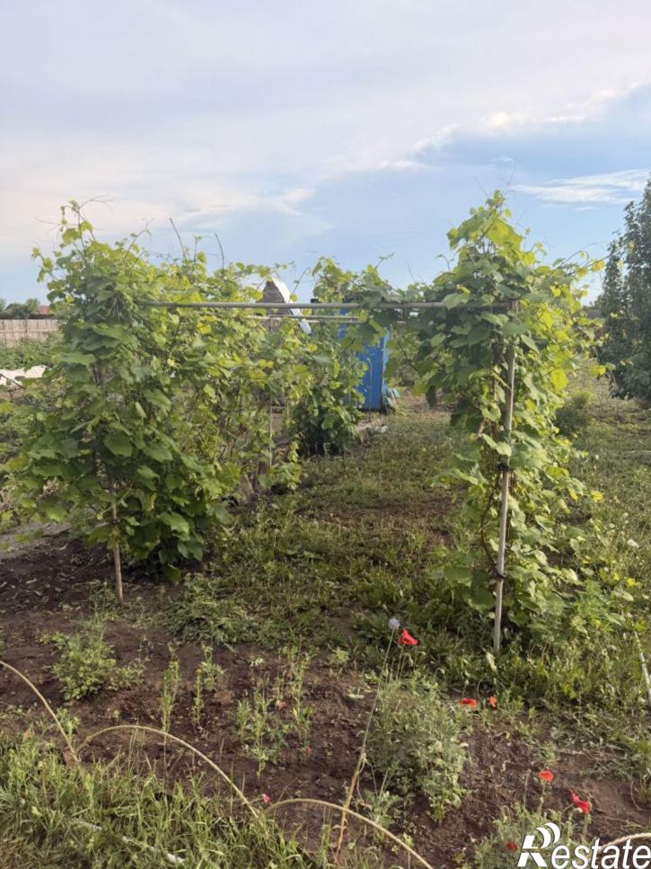 Коттедж/дом Саргатский район