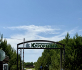 земля 11 сот 