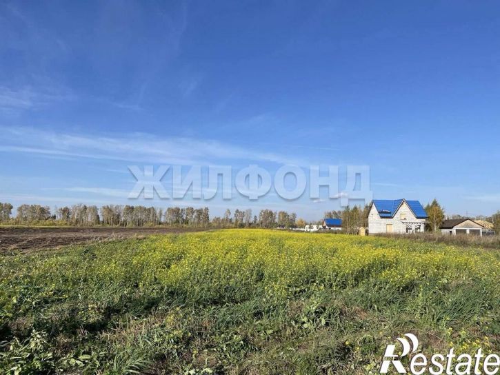 Земельный участок Центральная улица